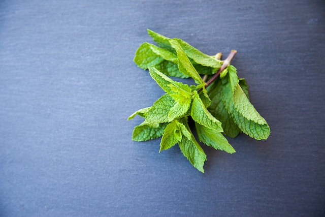 mint might cause low testosterone levels